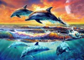 Dolphins dawn