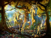 Unicorn forest