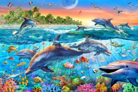 Tropical Dolphins