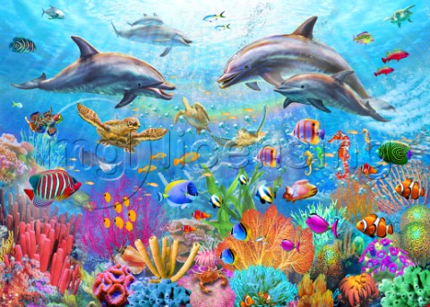 Coral Reef Paradise
