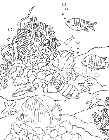 underwater coloringpage