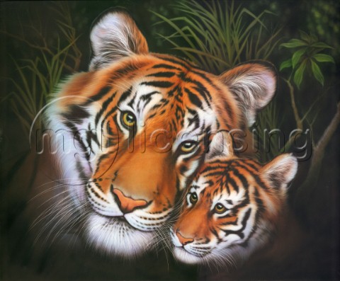 Mother tiger and cub 