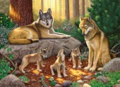 A family of wolves