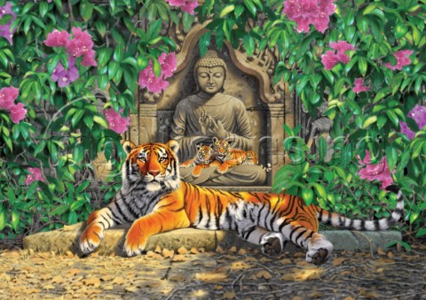Spiritual hideaway tigers 