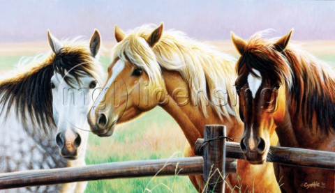 Three horses on the fence NPI 0028