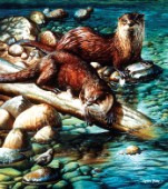 Otters for the bank (NPI 0093)