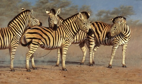 Zebra group NPI 0098