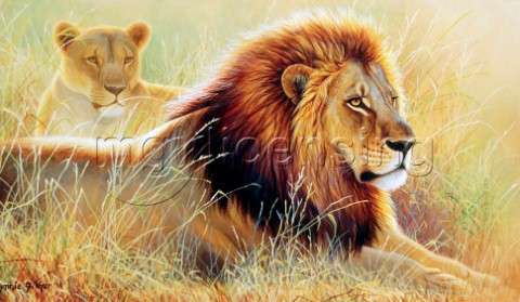 Lion and lioness NPI 0113