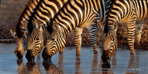 Zebras at waterhole II NPI 0114