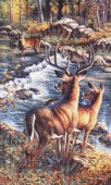 Deer creek crossing (NPI 807)