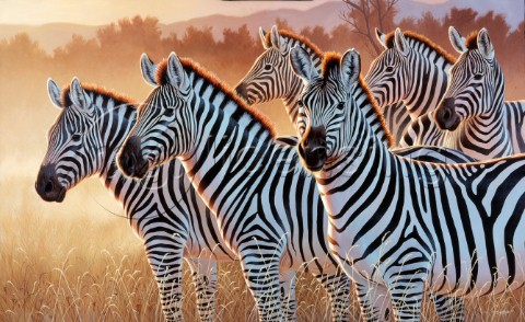 Zebras in a group NPI 21490054