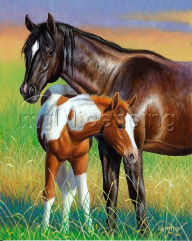 Mare and foal NPI 21490078