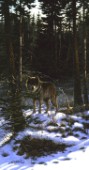 Winter hunter (NPI 2016)