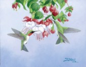Hummingbird garden (NPI 2025)