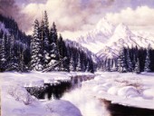 Winter splendour (NPI 2040)