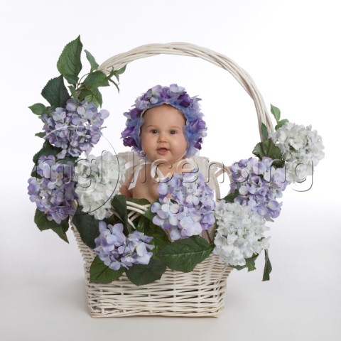 Baby in flower basket
