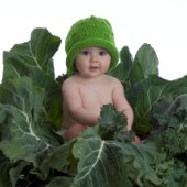 Vegetable leaf baby