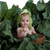 Cabbage kid
