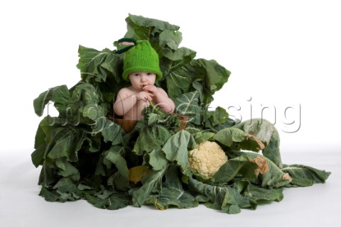 Playing in the cauliflowers