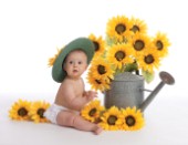 Sunflower Baby MF 5601