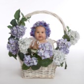 Baby in Flower Basket.jpg