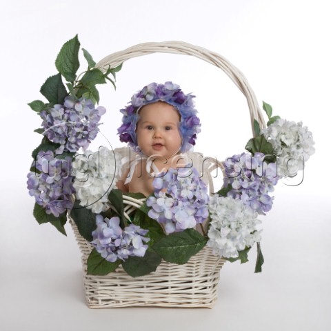 Baby in Flower Basketjpg