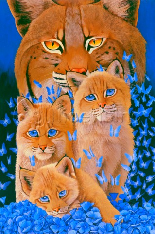 bobcat kittens
