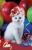 Cat with balloons (A122)