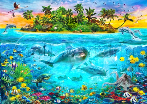 Dolphin Paradise Island