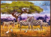 Zebras Under a Tree