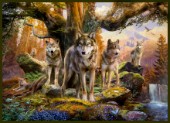 Forest Family of Wolves