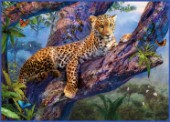 Leopard Relaxing in Tree