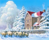 Winter passage - sheep