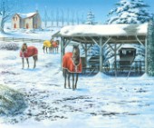 Brisk winter days - horses