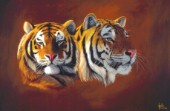 Two tiger heads