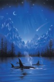 Moonlight night journey - killer whale