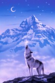 Song of Alaska - wolf