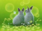 Little Friends 2-Rabbit