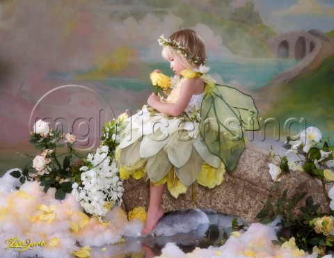 Yellow rose fairy