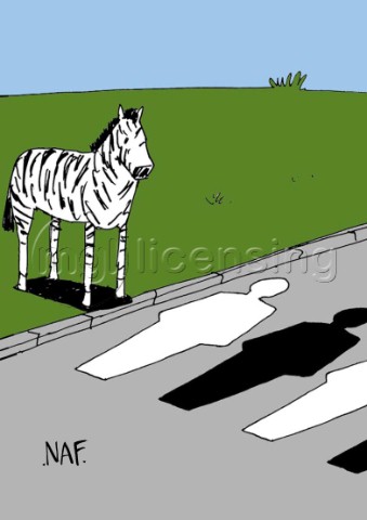 Zebra Crossing E71
