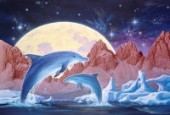 Luna dolphins