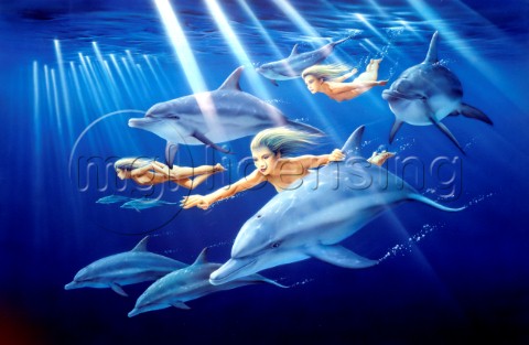 Dolphin companions