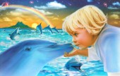 Dolphin farewell