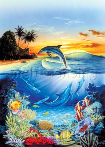 Dolphin lagoon