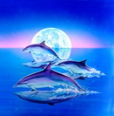 Dolphin trio