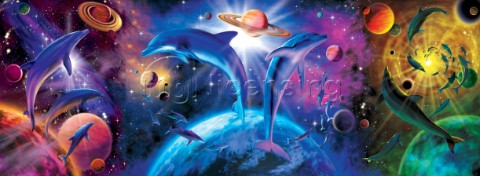Dolphin triptych