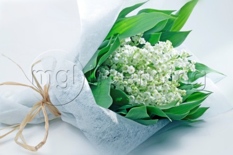 Pretty White Bouquet F629