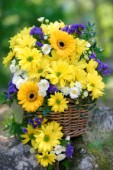 Yellow Gerbera & Daisy Bouquet F679