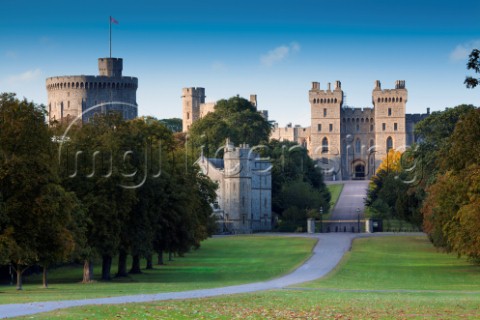 The Long Walk Windsor Castle