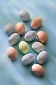 East Eggs